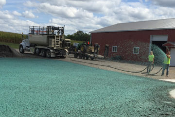 Turf Establishment