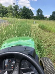 Mowing – Tallgrass Service