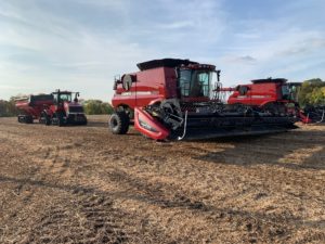 Seedbed preparation for maximum yield