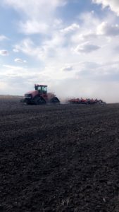 Seeding and Installing